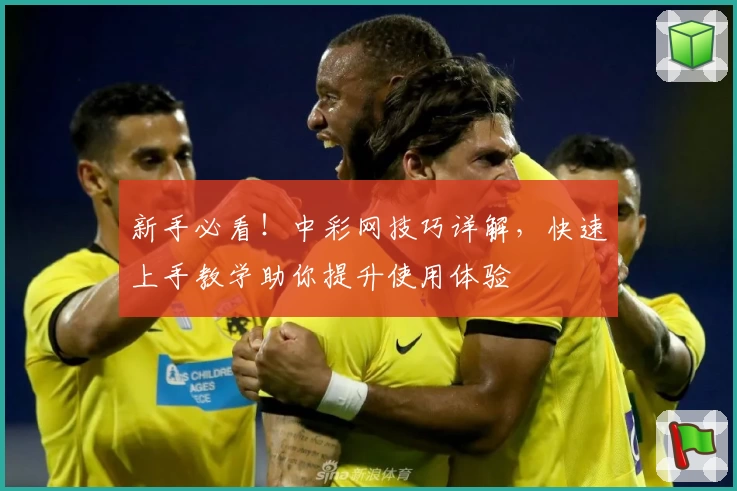 新手必看！中彩网技巧详解，快速上手教学助你提升使用体验