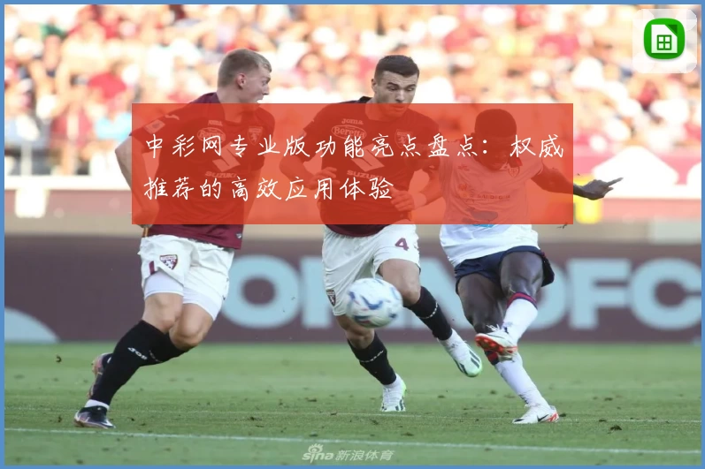 中彩网专业版功能亮点盘点：权威推荐的高效应用体验