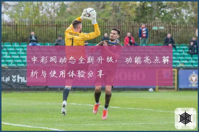中彩网动态全新升级，功能亮点解析与使用体验分享