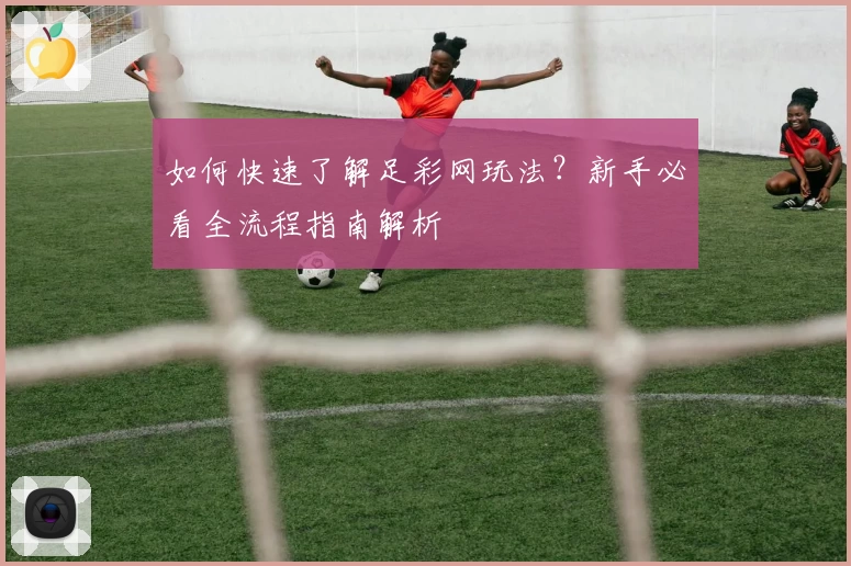 如何快速了解足彩网玩法？新手必看全流程指南解析