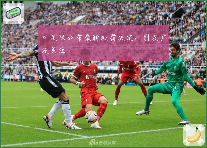 中足联公布最新处罚决定，引发广泛关注
