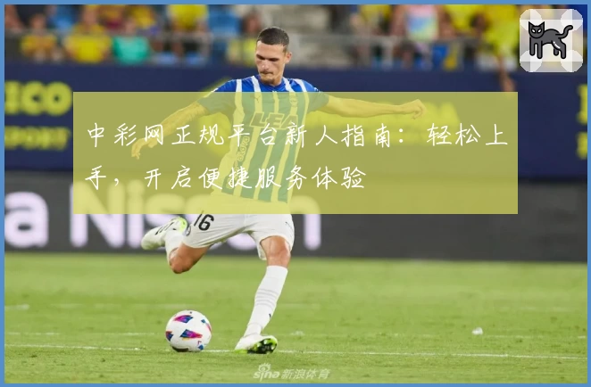 中彩网正规平台新人指南：轻松上手，开启便捷服务体验