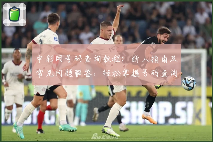 中彩网号码查询教程：新人指南及常见问题解答，轻松掌握号码查询技巧