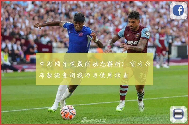 中彩网开奖最新动态解析：官方公布数据查询技巧与使用指南