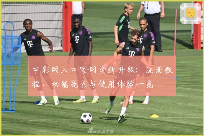 中彩网入口官网全新升级:注册教程、功能亮点与使用体验一览