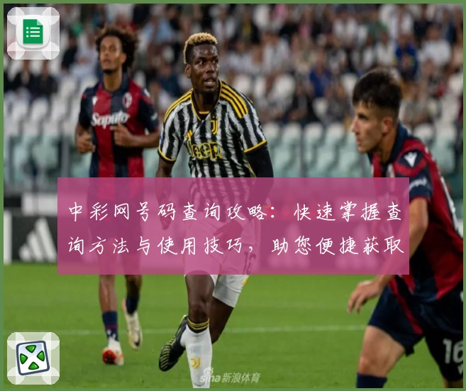 中彩网号码查询攻略：快速掌握查询方法与使用技巧，助您便捷获取最新数据