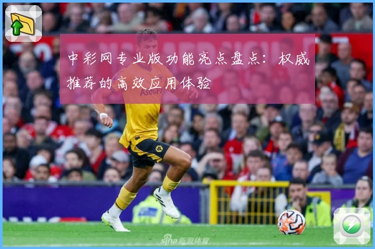 中彩网专业版功能亮点盘点：权威推荐的高效应用体验