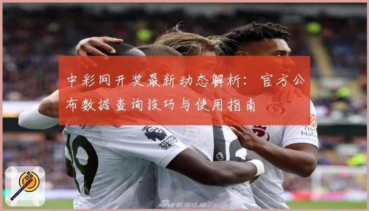 中彩网开奖最新动态解析：官方公布数据查询技巧与使用指南
