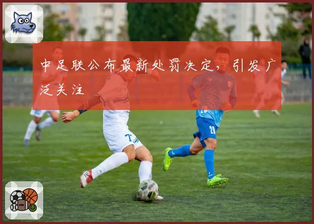 中足联公布最新处罚决定，引发广泛关注